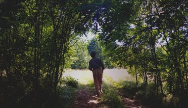 LAUREL - Natural escape - person walking through the woods